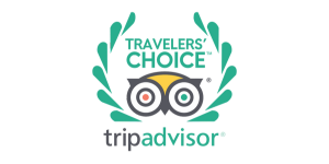 Trip advisor