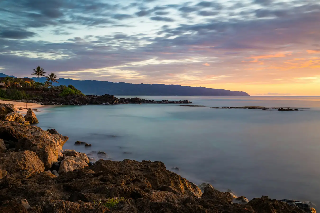 a rocky beach with a palm tree and a sunset, malibu pacific marlin